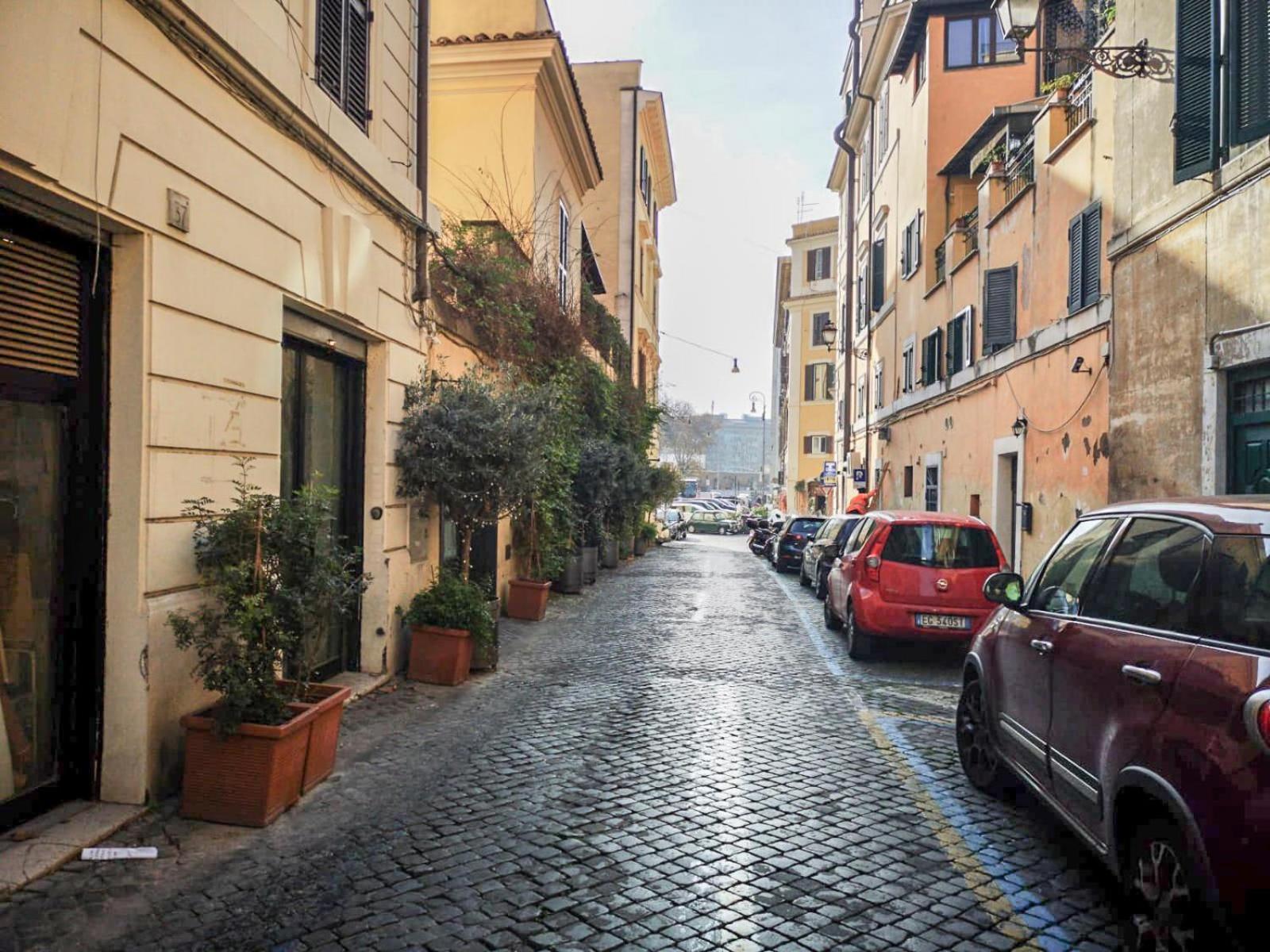 Flatinrome Trastevere Deluxe Rooms - Green Patio Eksteriør billede